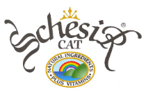 Schesir Logo