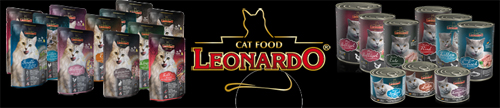 leonardo